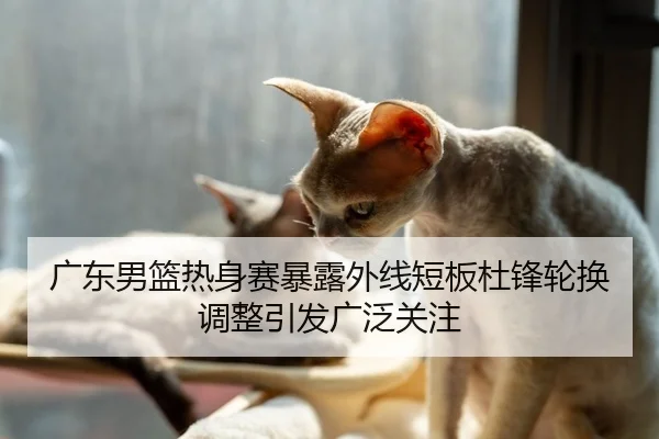 广东男篮热身赛暴露外线短板杜锋轮换调整引发广泛关注