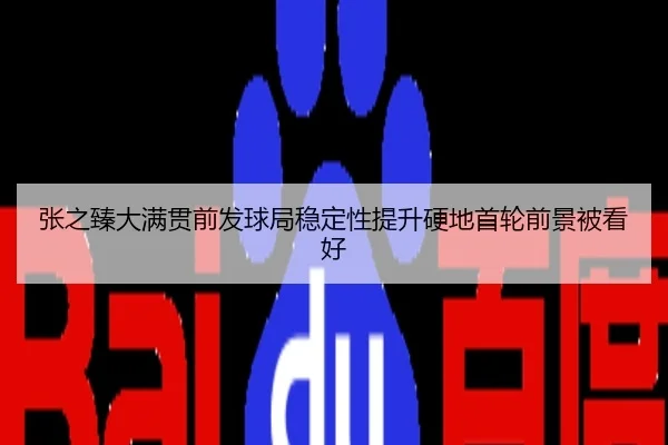 张之臻大满贯前发球局稳定性提升硬地首轮前景被看好