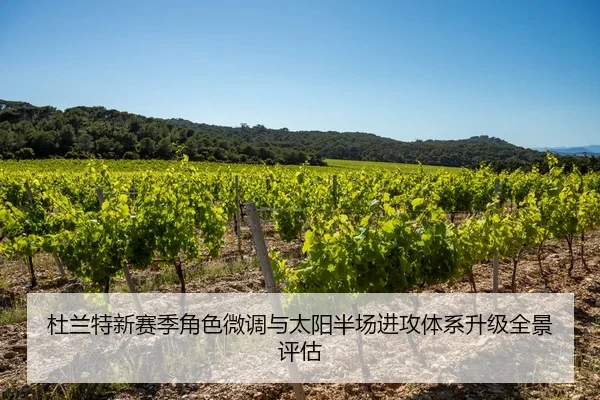 杜兰特新赛季角色微调与太阳半场进攻体系升级全景评估